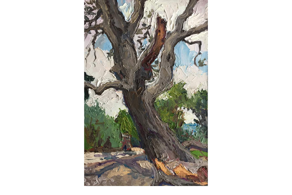 Painting of a Banksia tree on a sand bank leaning towards the right. Thick, white clouds and shrubs in the distance. 