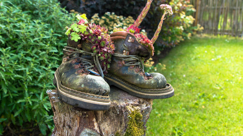 pair of old work boots transformed into flower planters