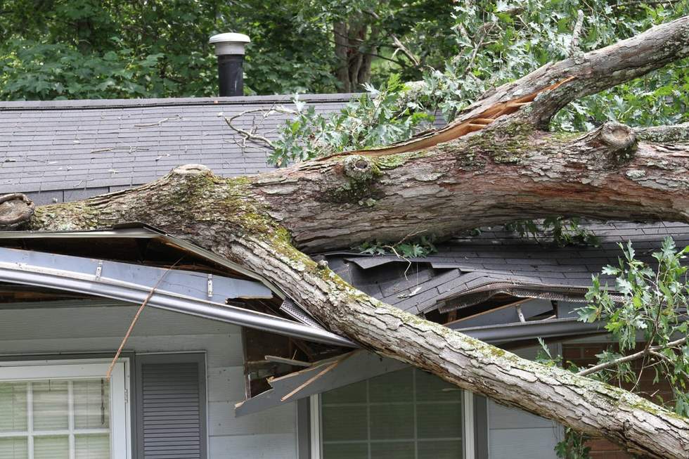 A tree has crashed onto a house roof during Melbourne's wild storm
