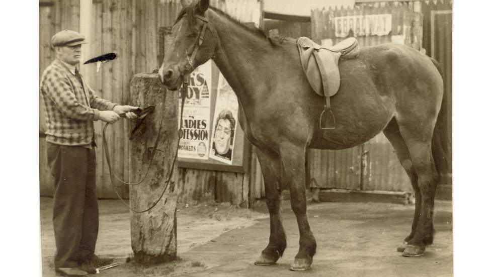 old black and white photo of man with a horse