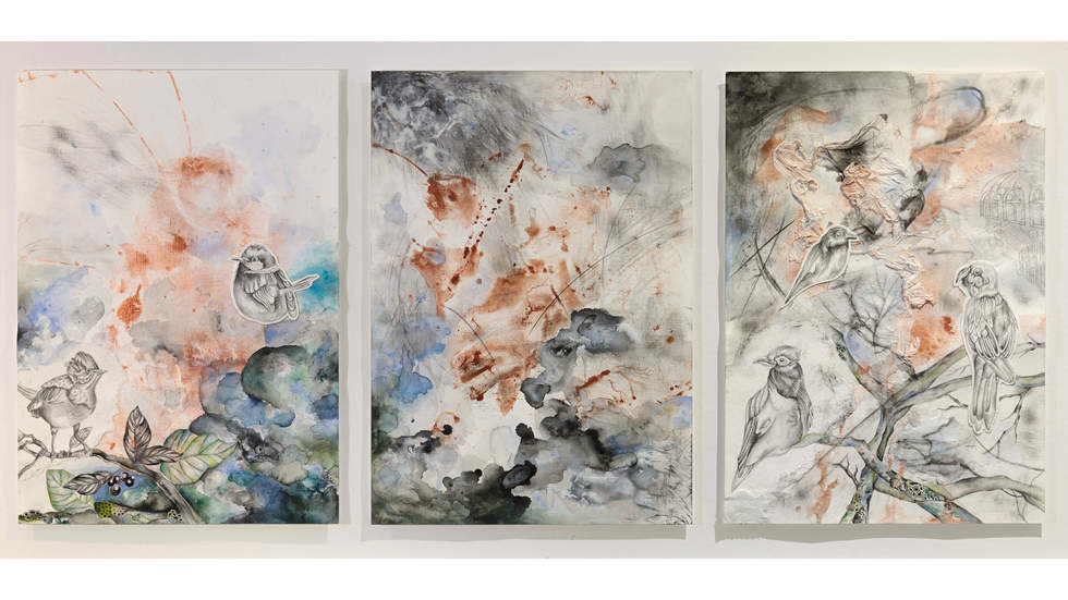 Series of 3 watercolour, gouache, pencil and charcoal on paper depicting birds mixed with pink and blue backgrounds.