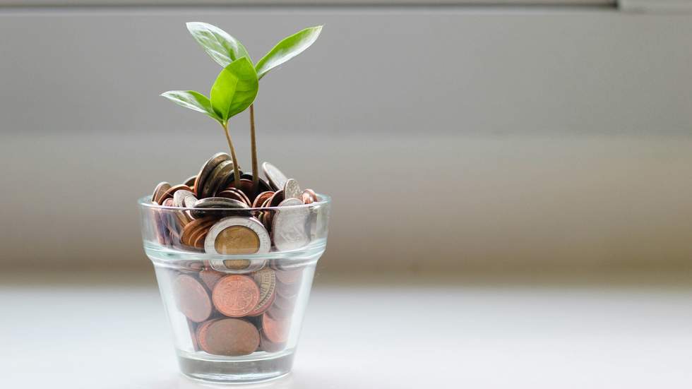 Plant in a coin jar. 