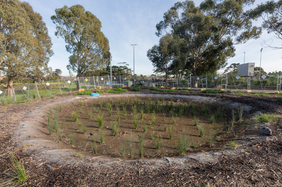 Bioretention filter Chain of Ponds
