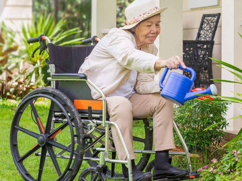Person in wheel chair watering plants.