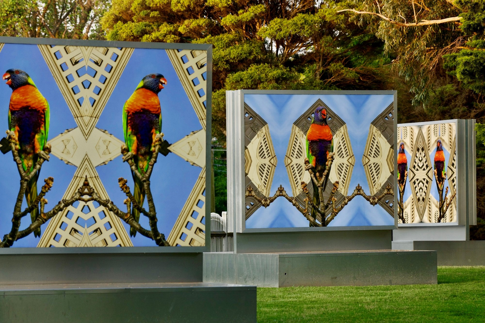 Kent Morris portrays artwork of birds displayed on lightboxes at Billilla