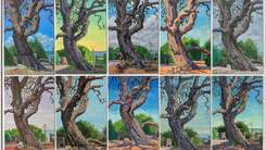 A painted series of ten panels in grid format of the same Banksia tree painted at different times of the day. 