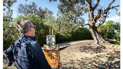An artist stands at his easel outdoors looking towards a Banksia tree. 