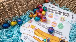 Chocolate eggs and flyers in a basket at Easter event.