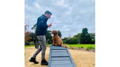 Man teaching a dog tricks in the park.