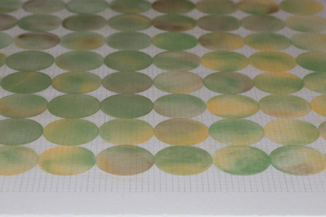 Close up view of a drawing of circles in shades of green in a grid like pattern on white paper. 