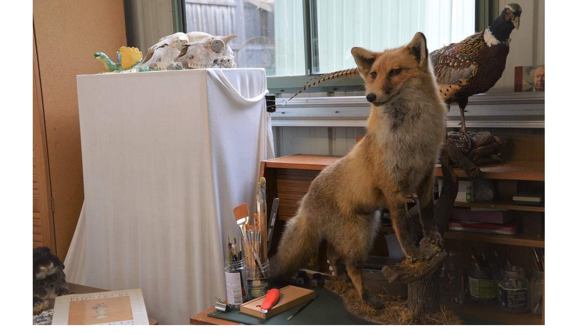 An artist studio with a taxidermy fox and pheasant.