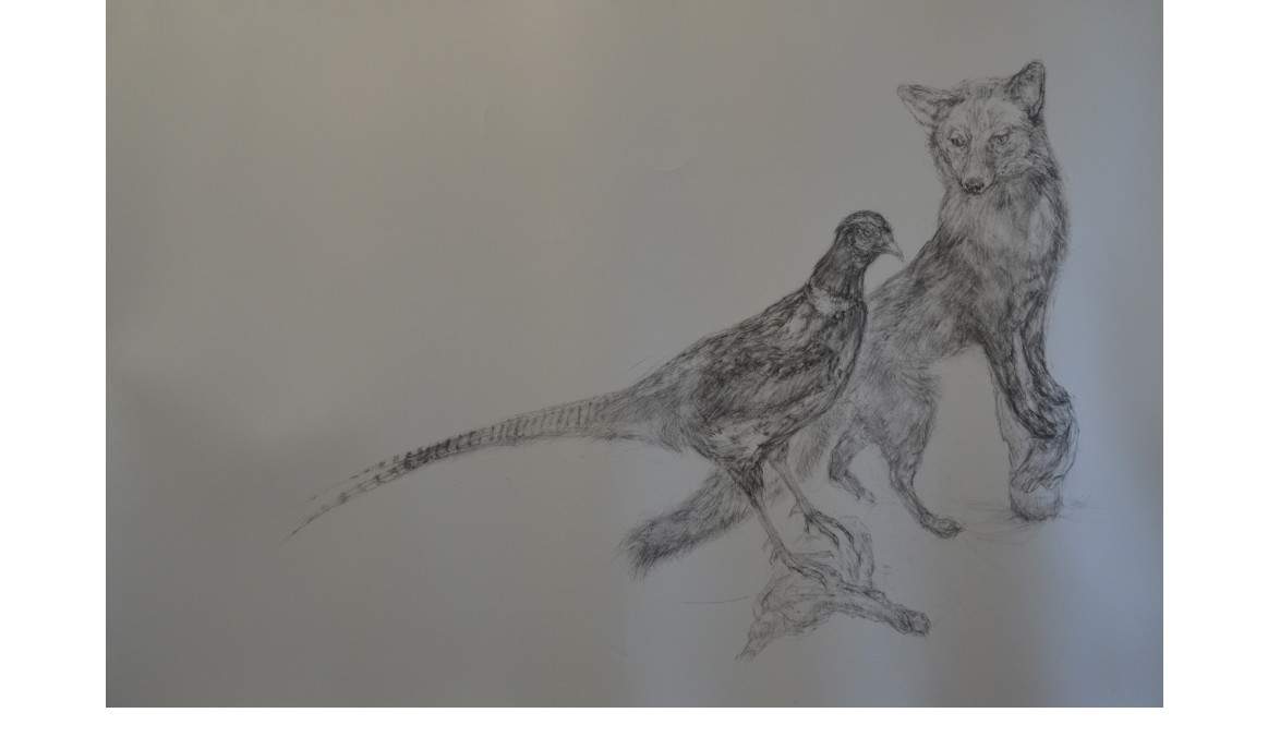 A black and white charcoal drawing of a pheasant and a fox standing on a log. 