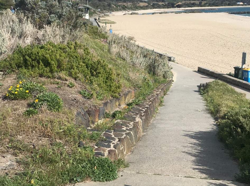 Concrete path on steep slope with vegetation either side  leading down to beach