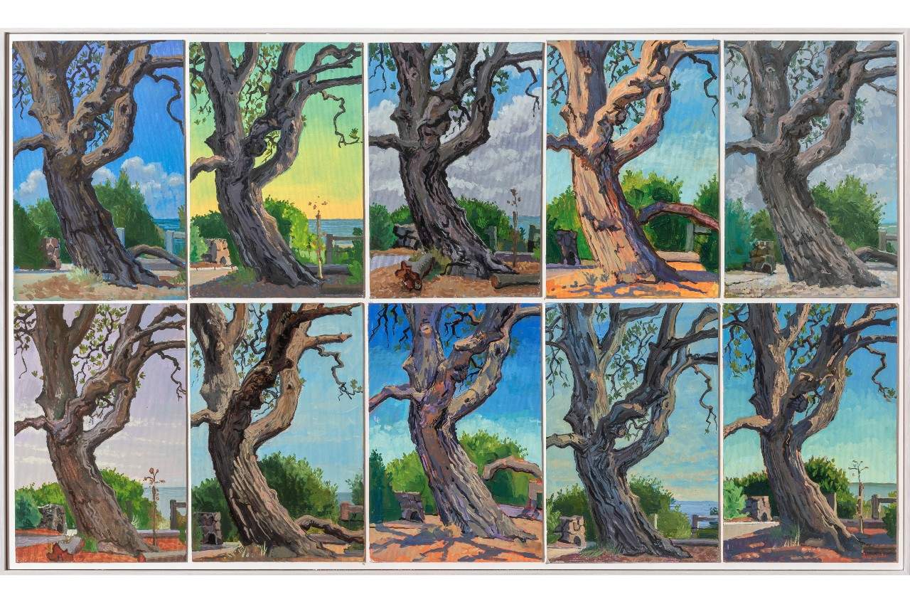 A painted series of ten panels in grid format of the same Banksia tree painted at different times of the day. 