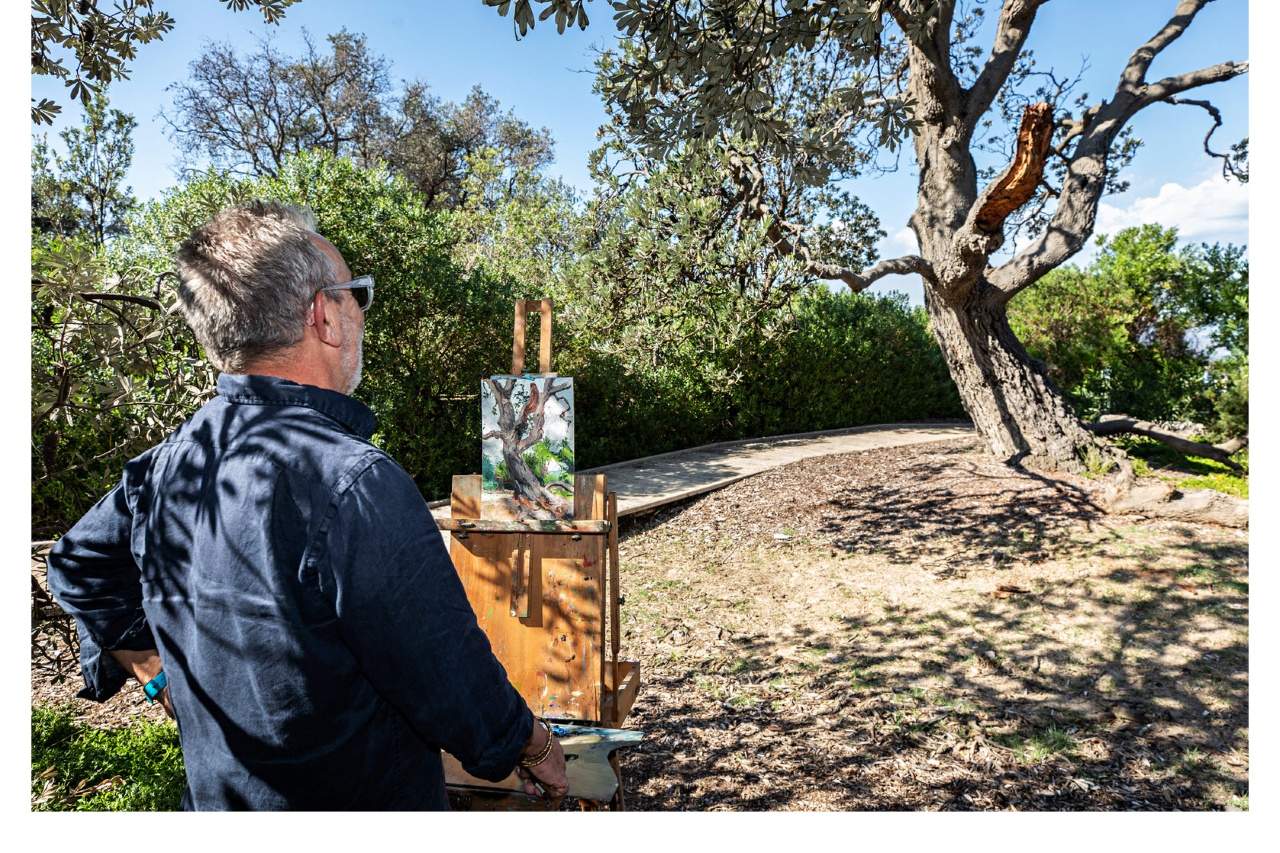 An artist stands at his easel outdoors looking towards a Banksia tree. 