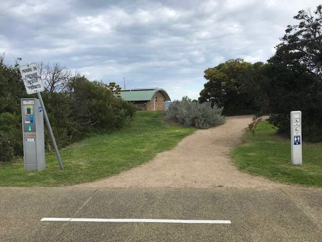 Gravel path leading through trees to building and beach 