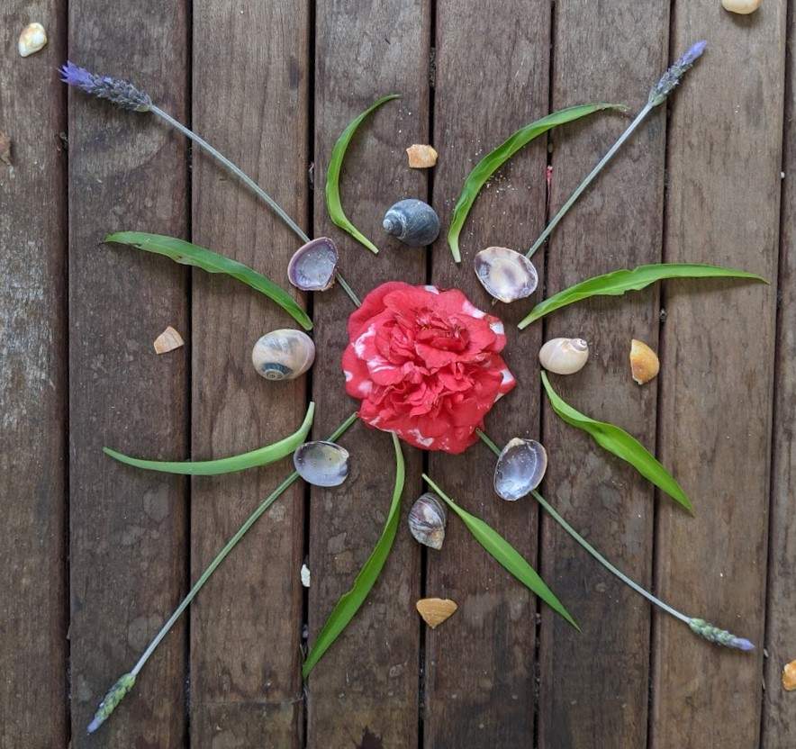 Nature mandala made from leaves, shells and flowers.
