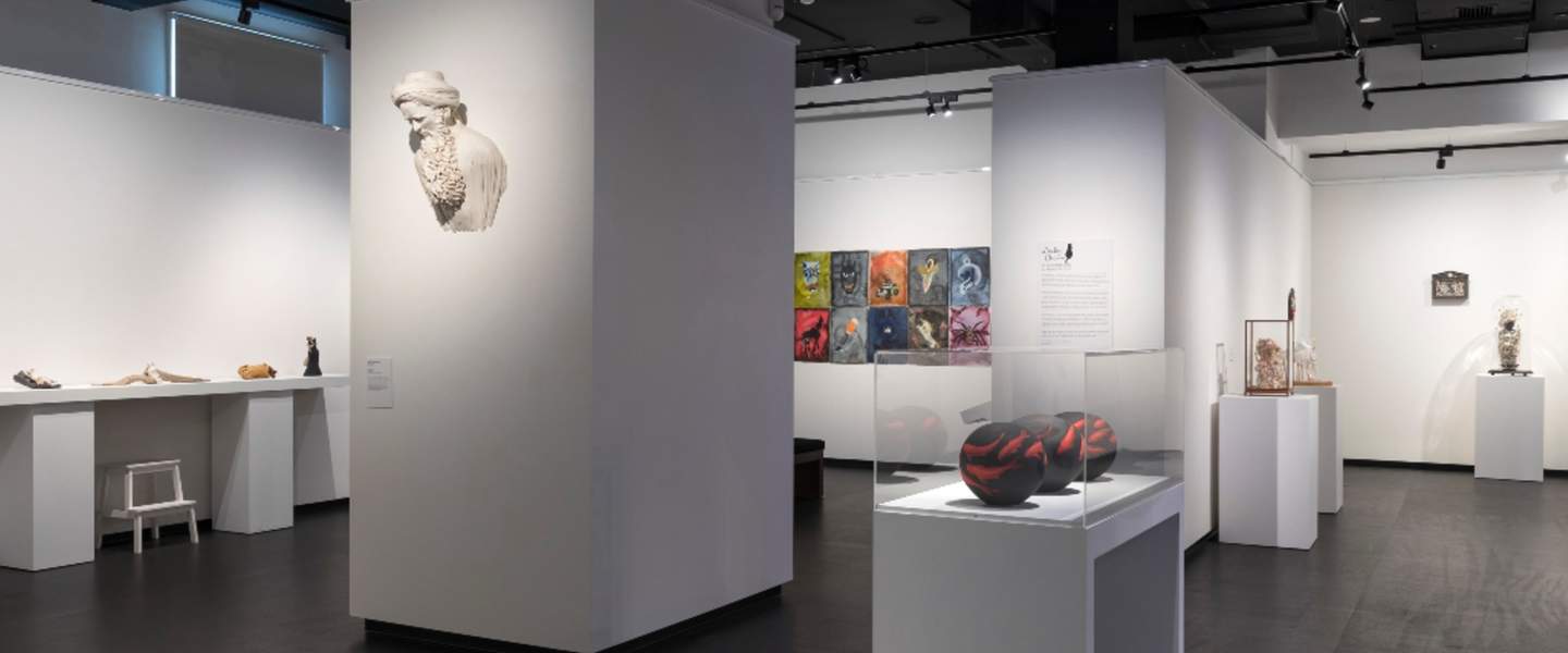 Installation view of an art exhibition