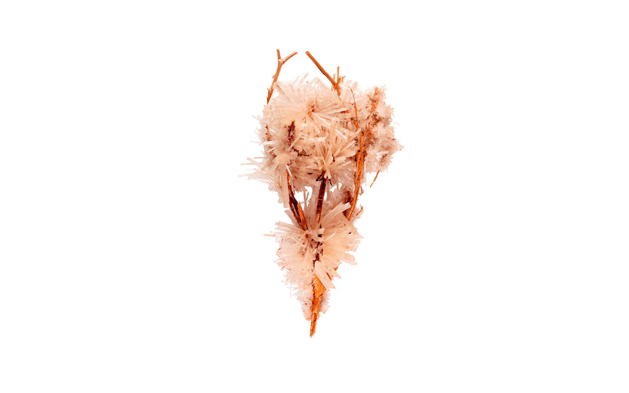 A photograph of clear crystals growing on a small branch on a white background.