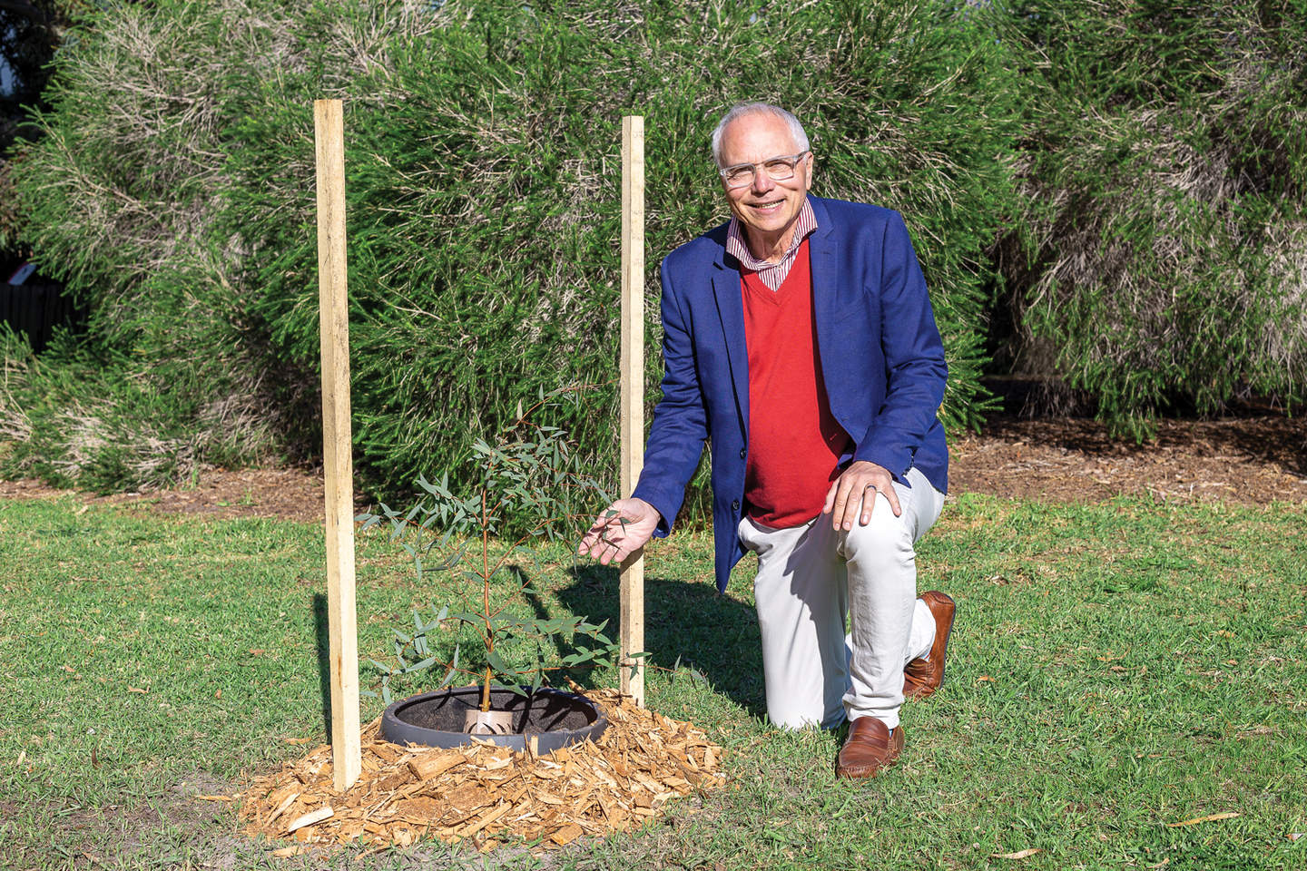 Mayor Alex del Porto kneels next to newly planted tree