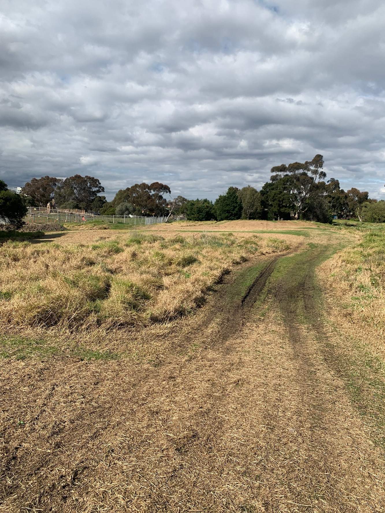 Grass path and area in Yalukit Willam Nature Reserve with varying inclines. Some areas of the path are muddy. 