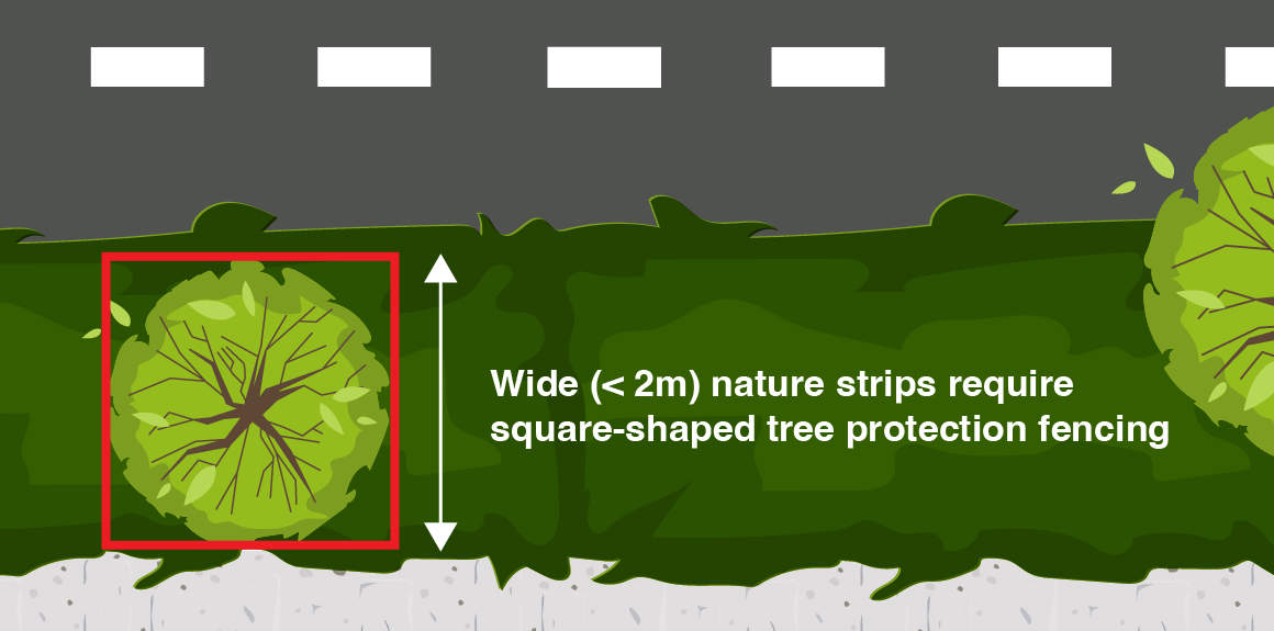 Tree protection graphic illustrating how a fence barrier can be positioned around a tree on a wide nature strip