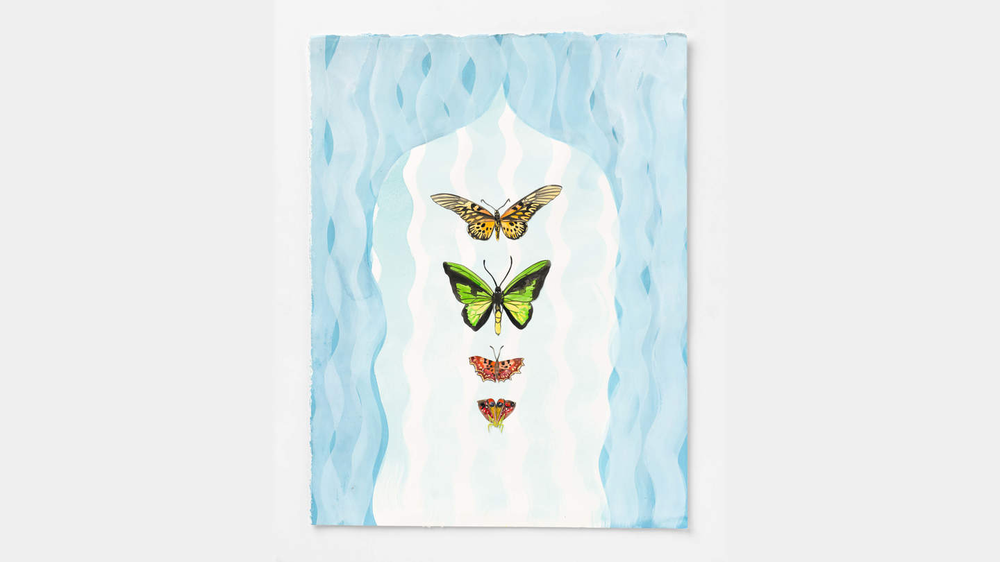 Gouache and ink on cotton rag featuring four butterflies on a blue background.