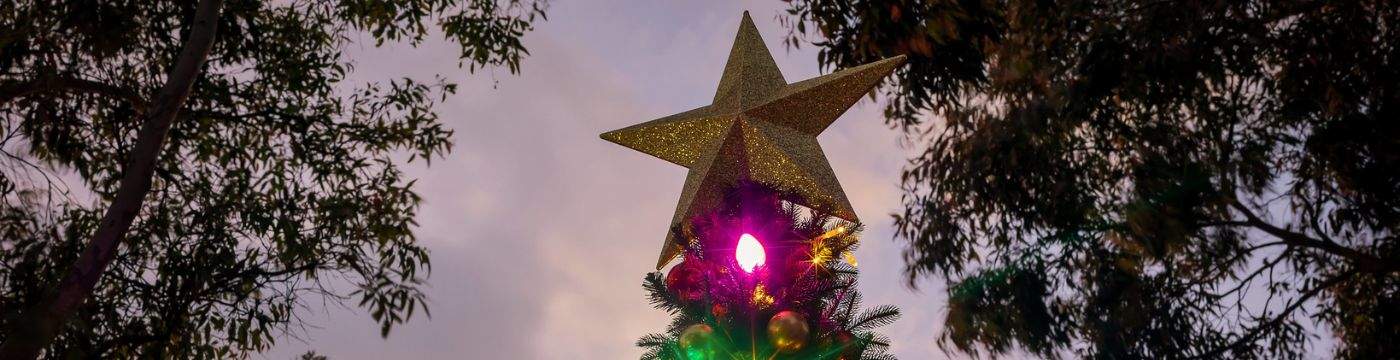 The star on the top of a Christmas tree in Bayside.