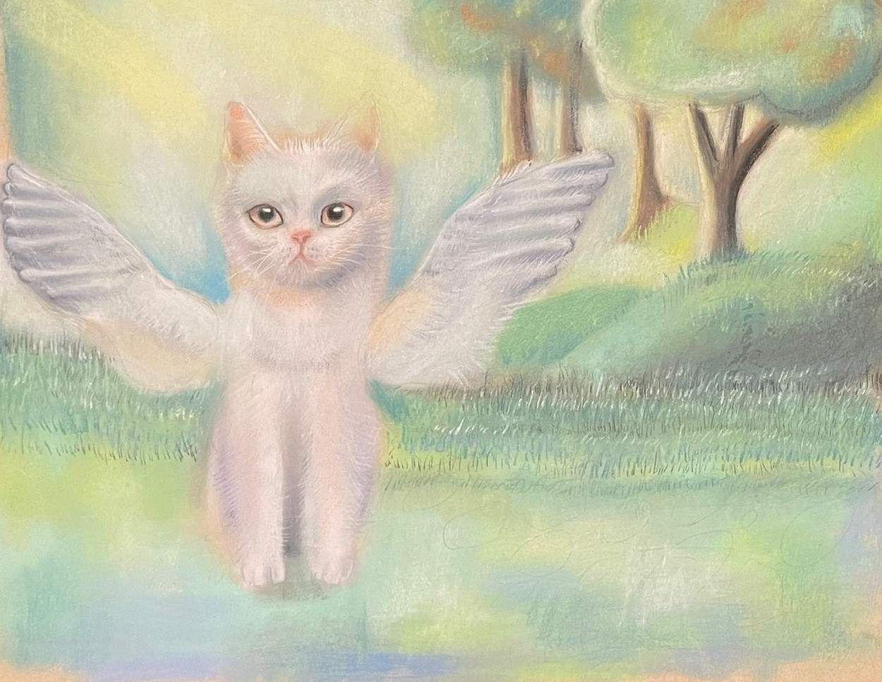 Drawing of a cat with wings - Young People of Bayside Art Awards 2023 - Abby P 10 to 13 year old winner