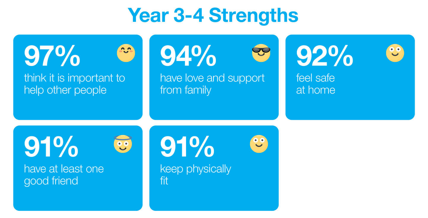 Year 3- 4 Strengths infographic. See results below. 
