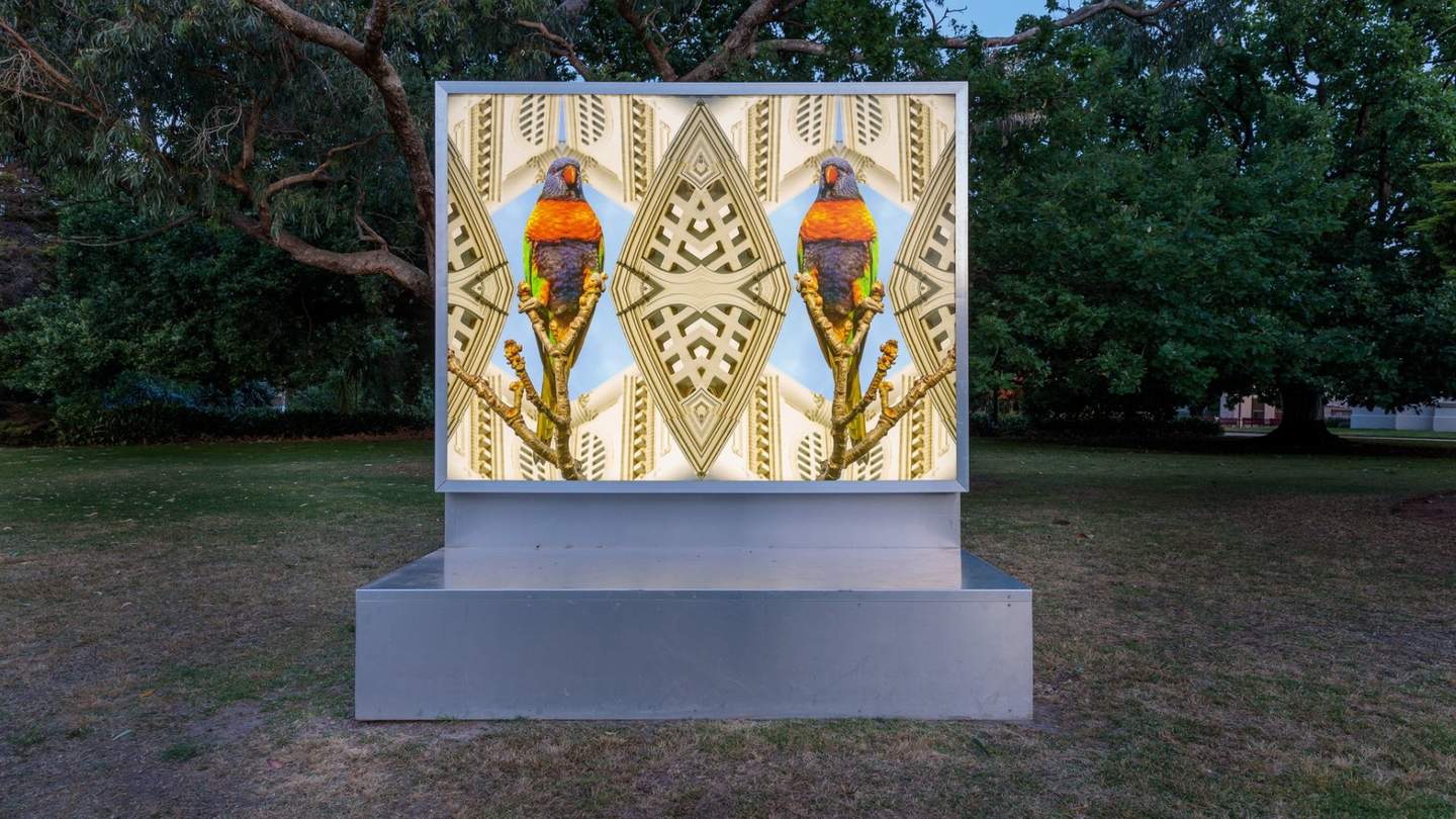 Lightbox art installation with rosella bird.