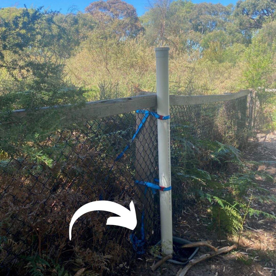 A pipe attached to fence leading into a water catchment bowl in the ground.