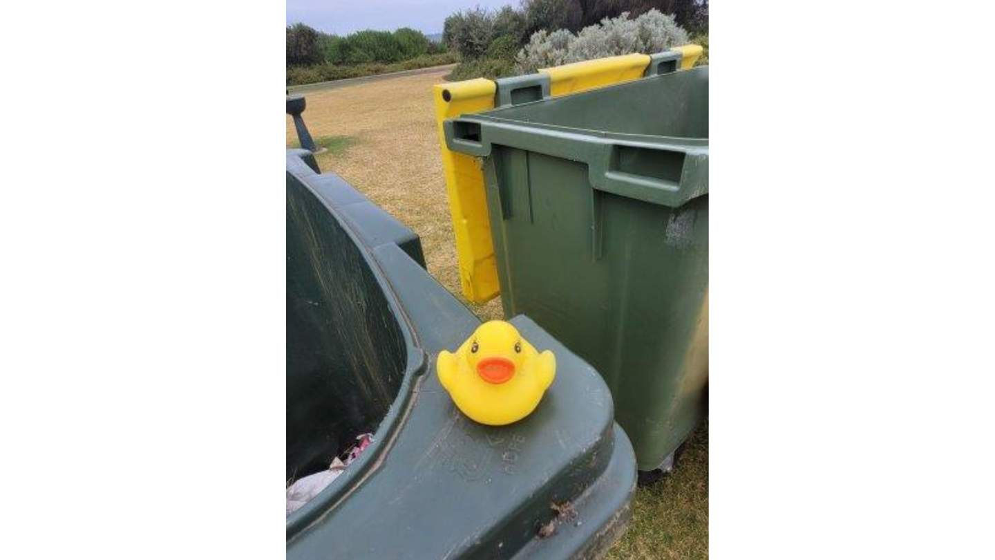 A yellow rubber duckie sitting on a bin.