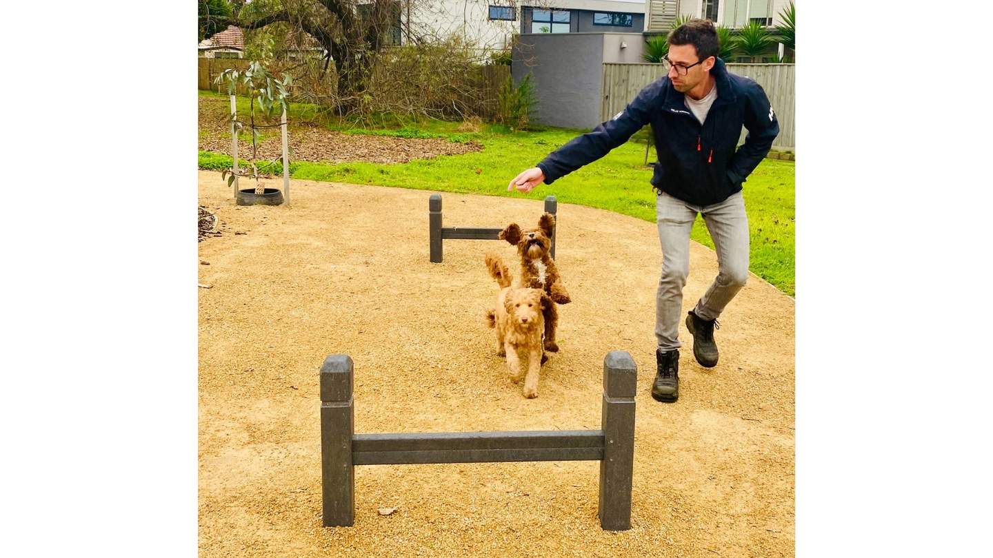 Man teaching a dogs tricks in the park