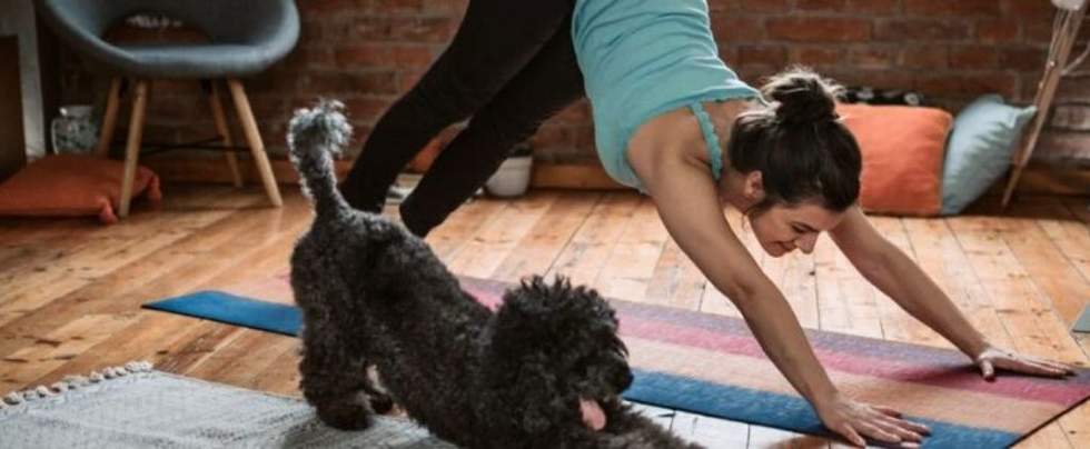 Woman doing yoga with her dog. 