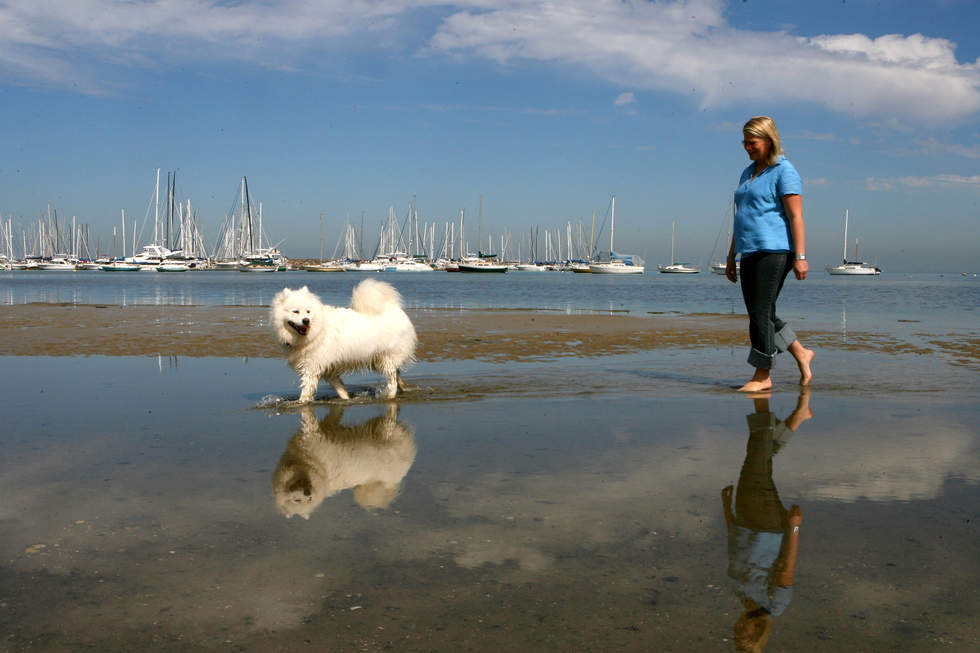 Woman with dog at Sandringham dog beach