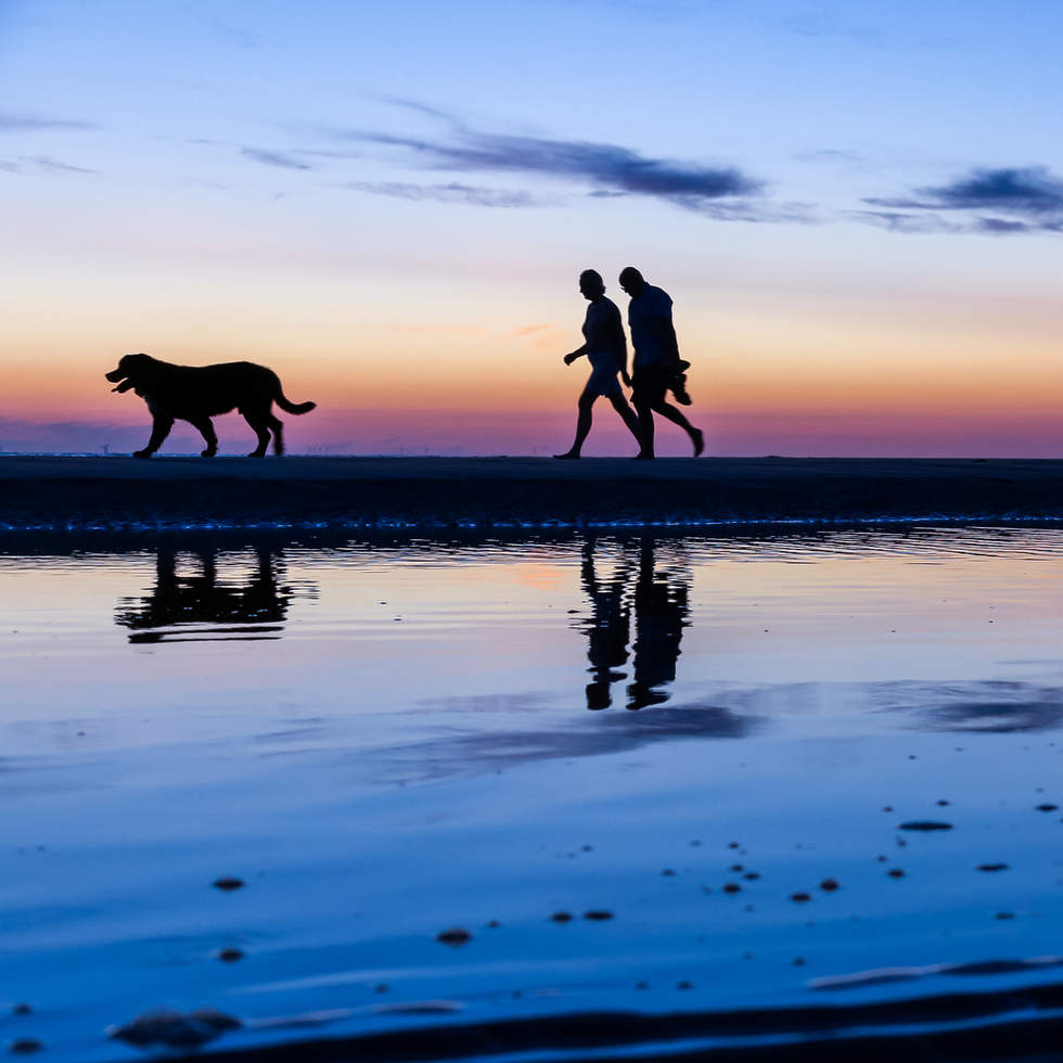 Couple walking along the beach at sunset
