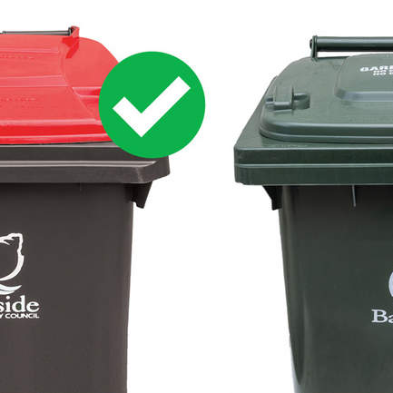 new red lid bin with a tick and old green bin with a cross