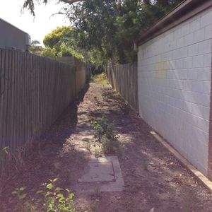 Dirt laneway with weeds growing and trees overhanging