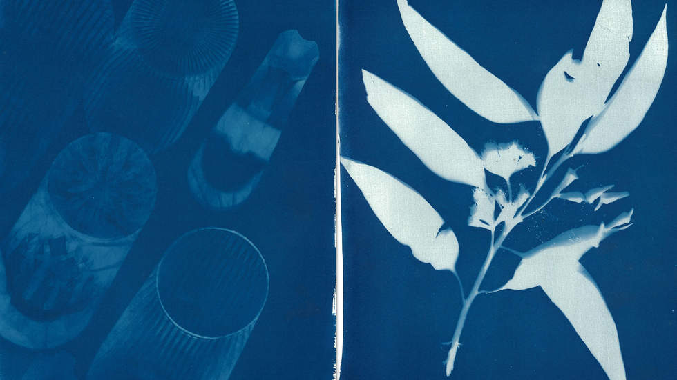 Cyanotype with drinking glasses and leaves