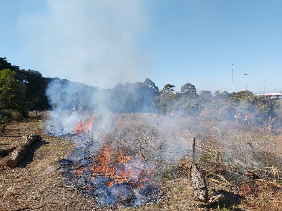 An ecological burn taking place on a scenic landscape under a blue sky