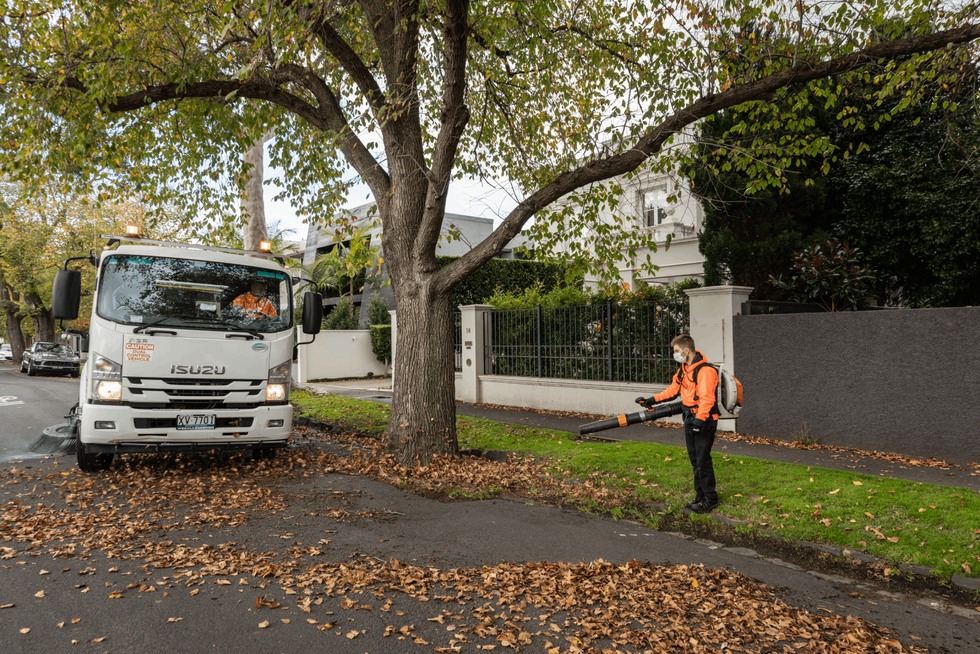 Person uses leaf blower to spread brown and orange leaves from under tree into street sweeper truck