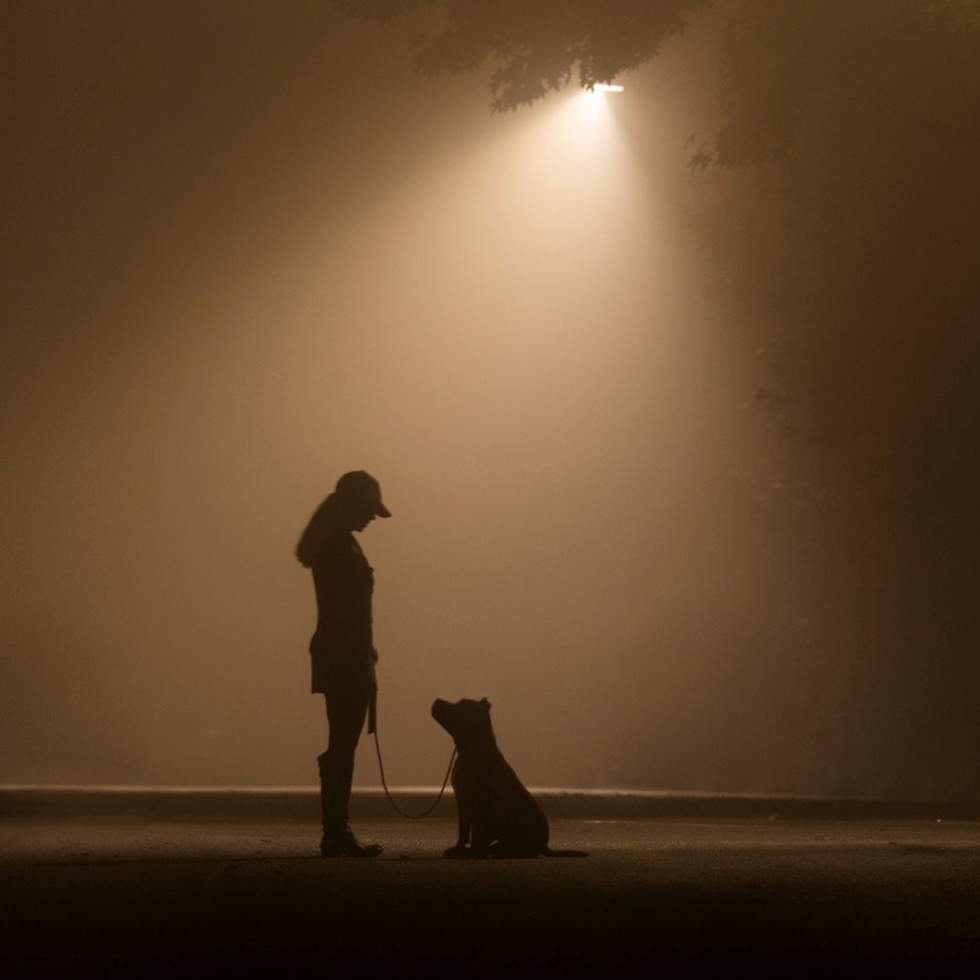 Silhouette of woman and her dog at night standing under a light 