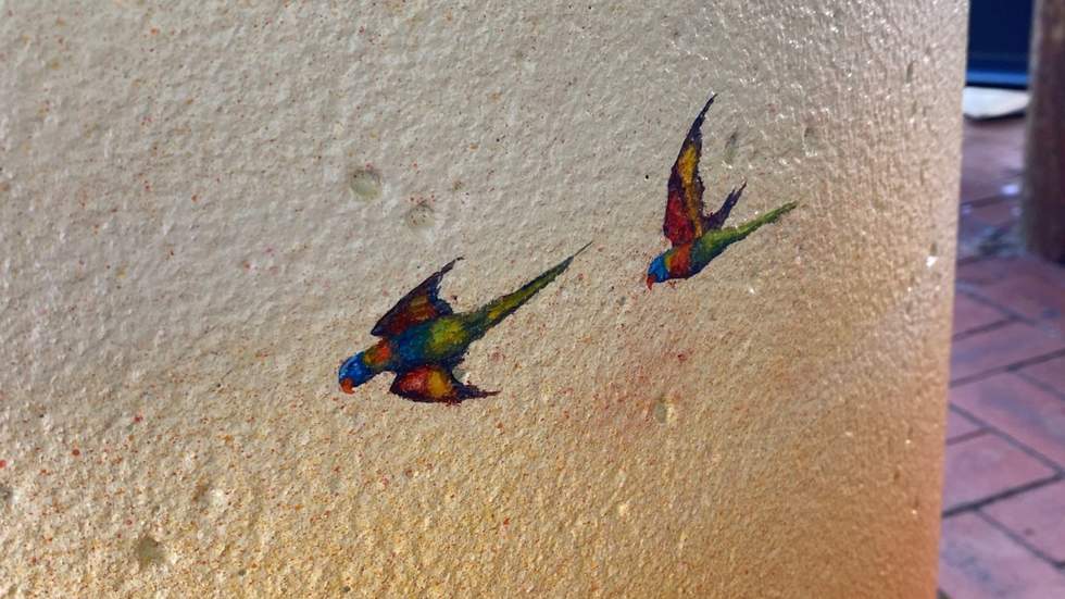 A close up of a plant pot with rainbow lorikeets painted on the side