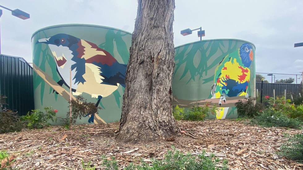 Painting of bird mural on water tanks
