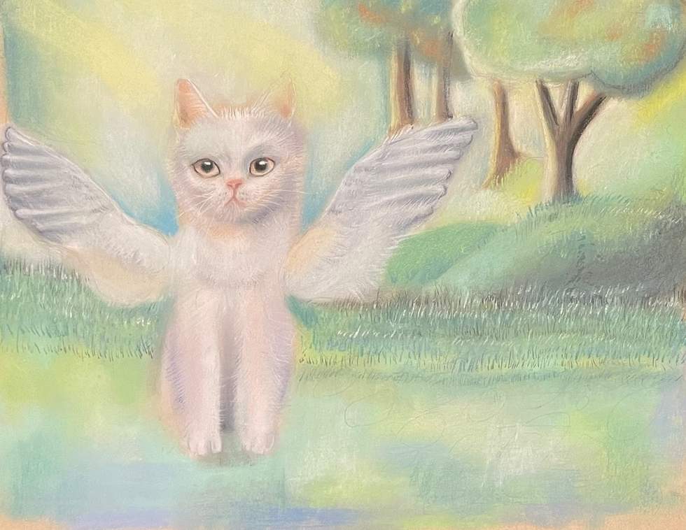 A delicate pencil drawing of a white cat with wings in the woods.