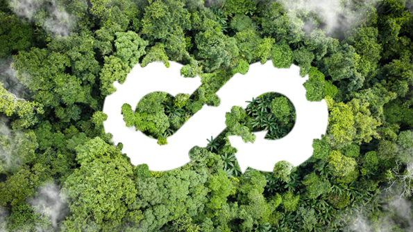 The circular economy symbol on a bird's eye view of a forest
