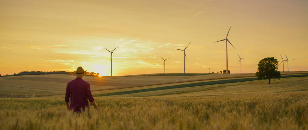 Wind farm in a paddock at sunset with a farmer in the foreground