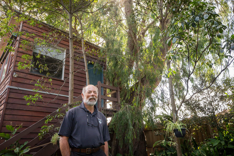 A man standing in front of a large spreading tree and cubby house